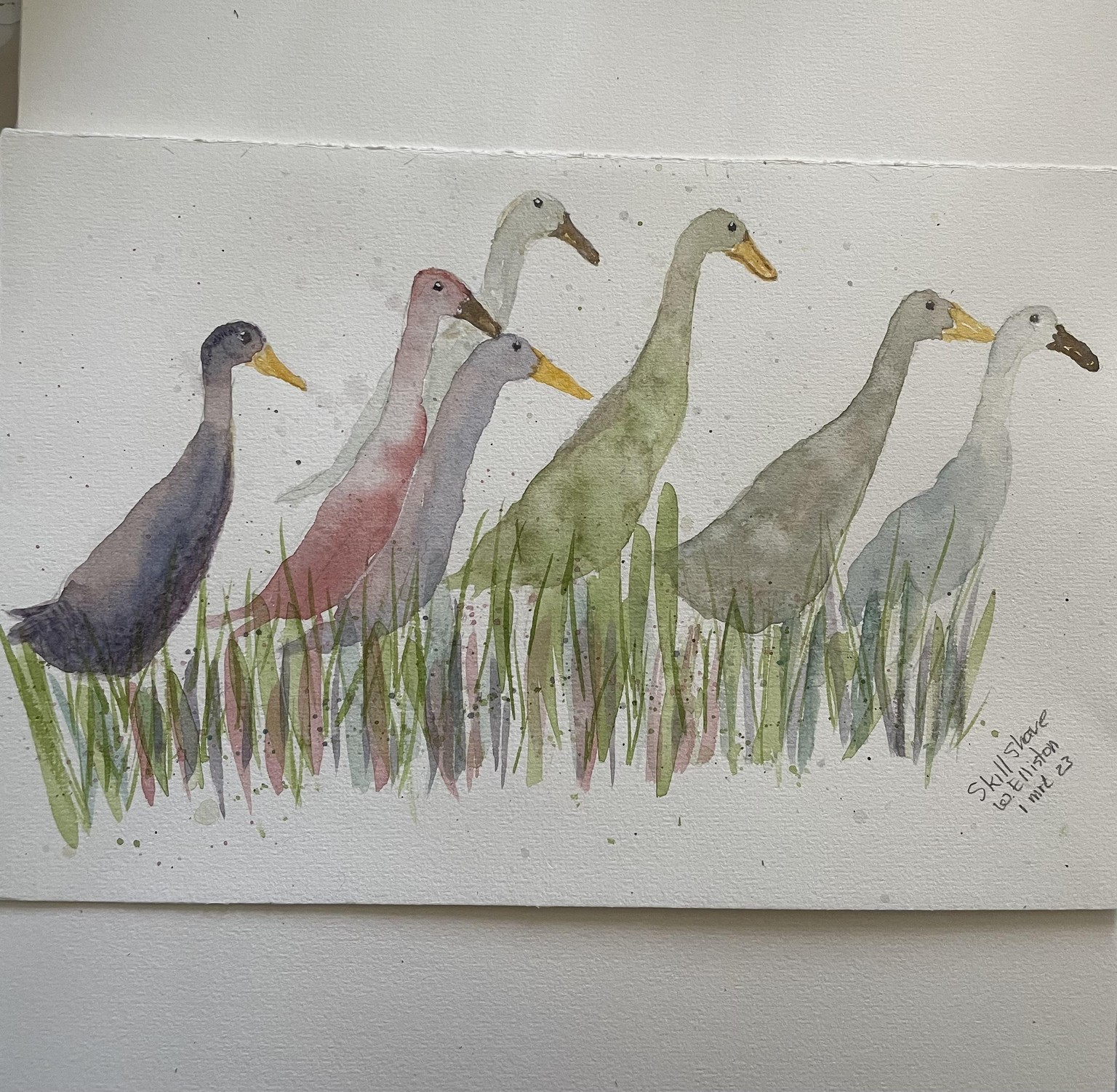 Runner ducks - image 2 - student project