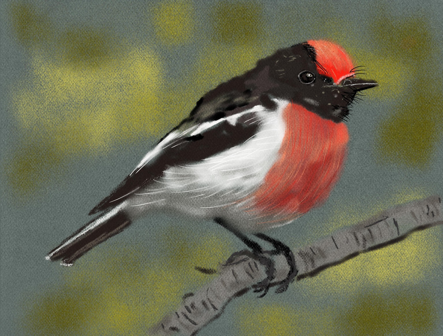 Pastels - image 1 - student project