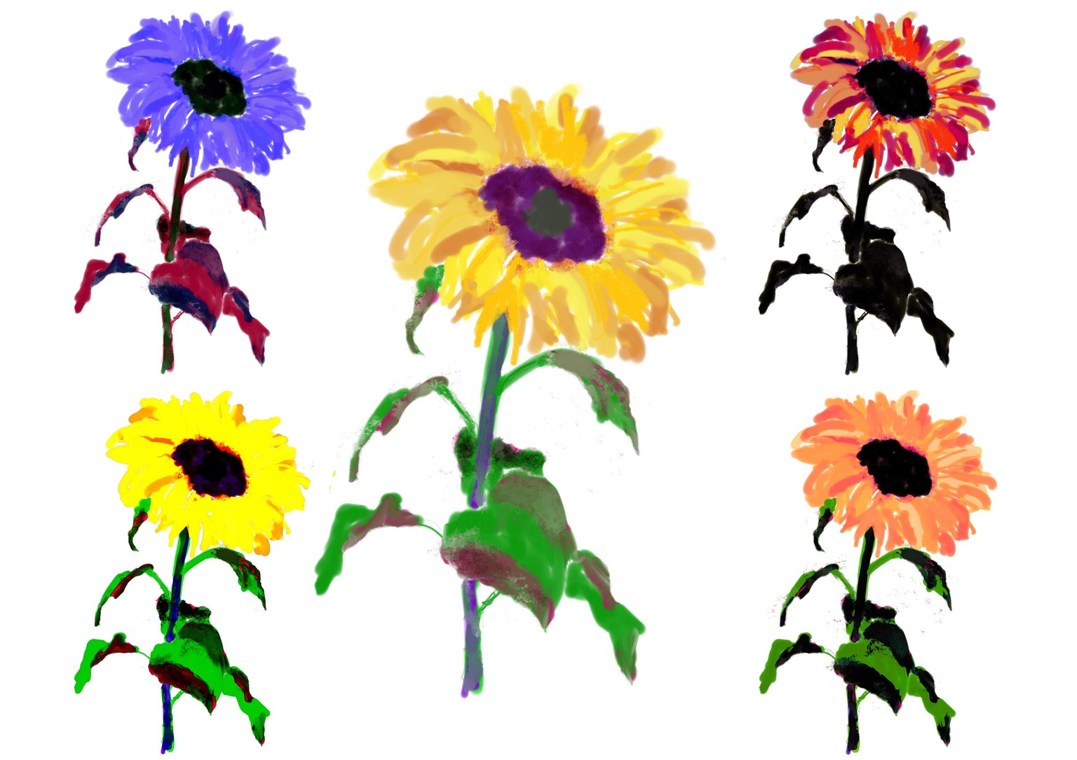 Crazy flowers! - image 3 - student project