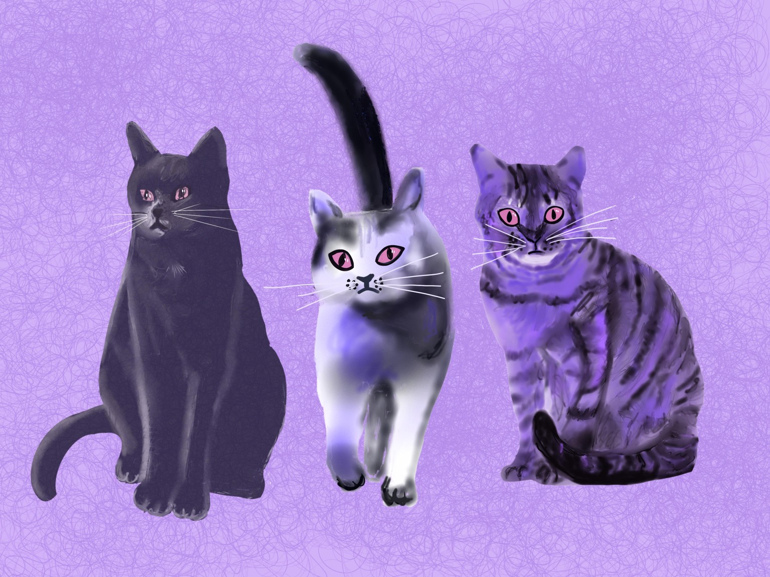 Cats ' - image 3 - student project
