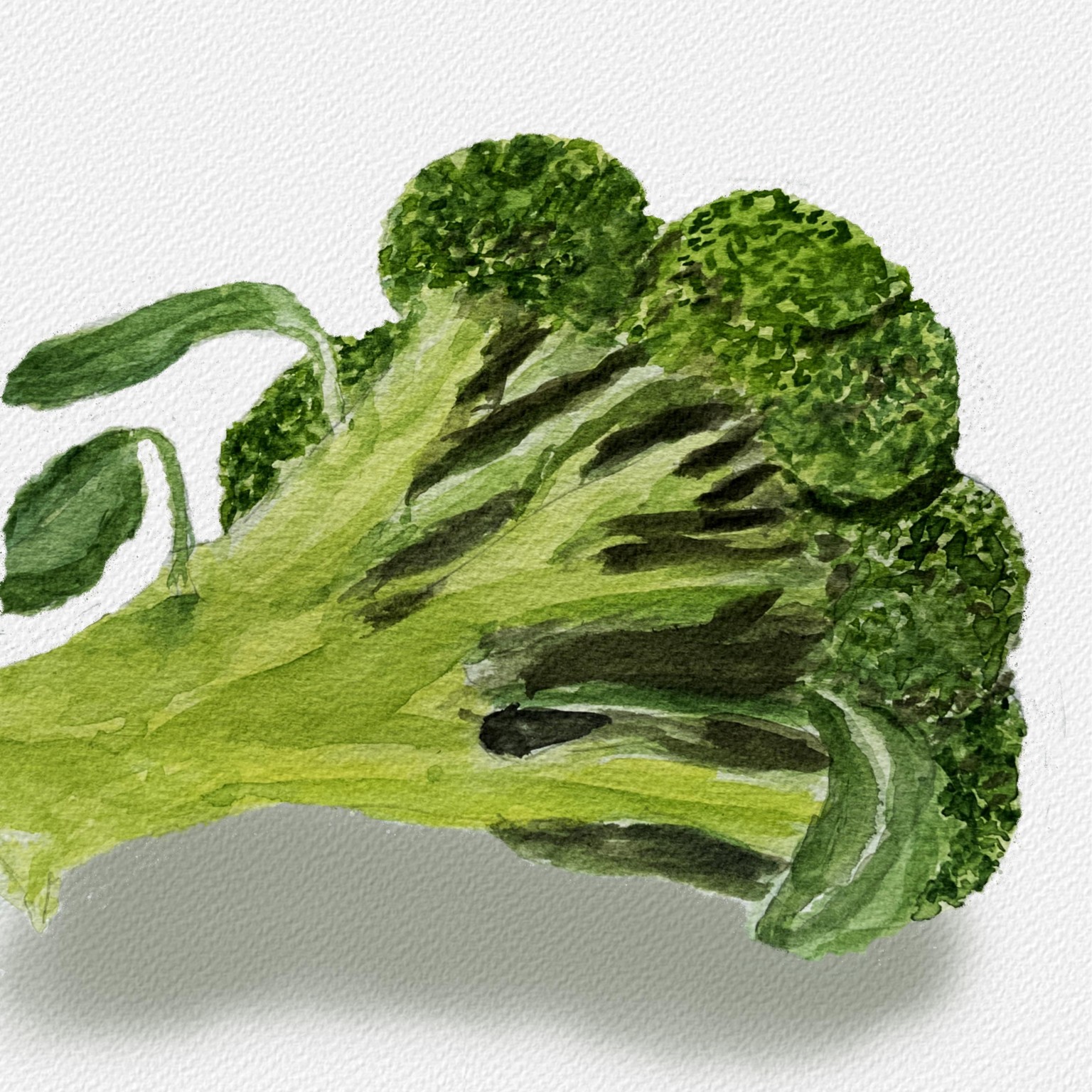 Veggies - image 2 - student project