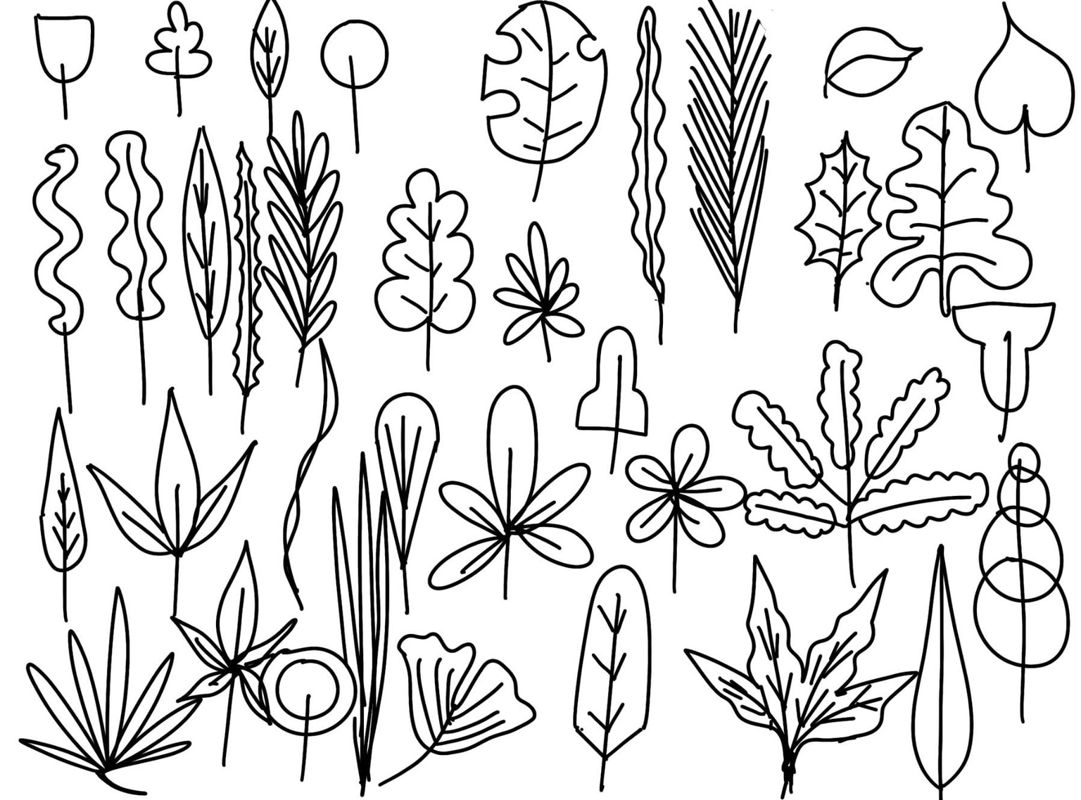 Plants ' - image 10 - student project