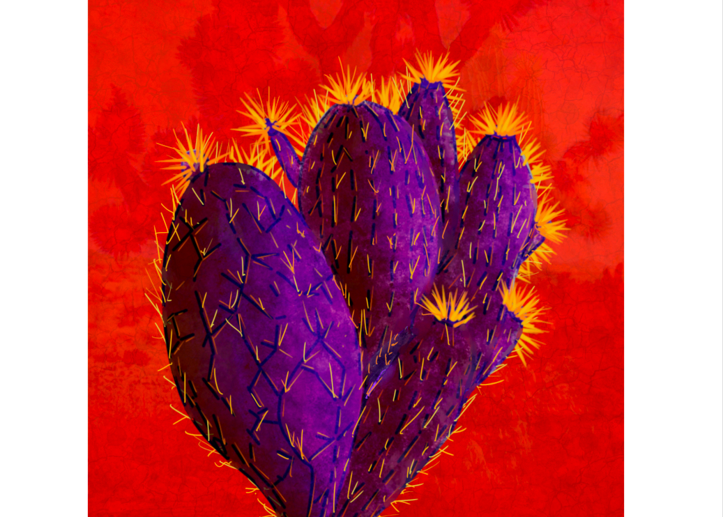 Watercolor cacti in Procreate - image 3 - student project