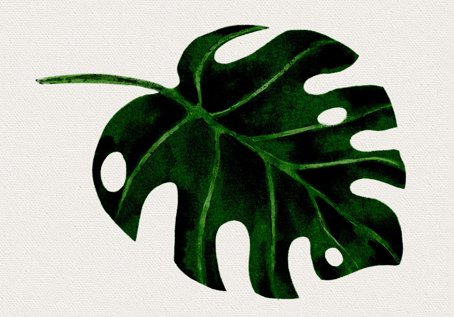 Watercolor ' - image 3 - student project