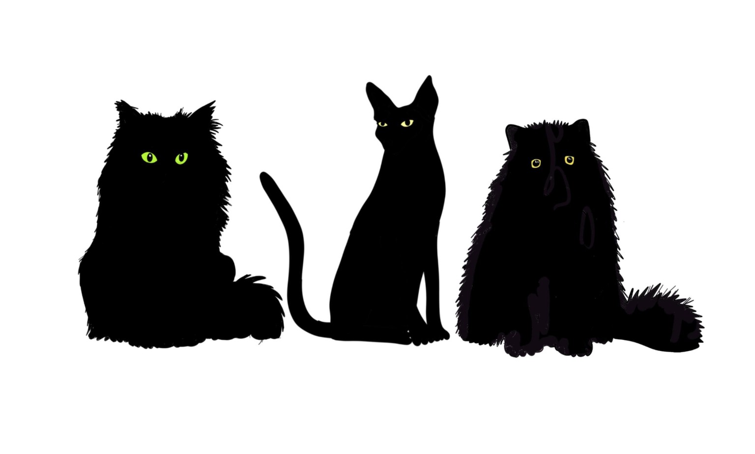A few more cats and ‘Three minutes’ drawings! - image 2 - student project