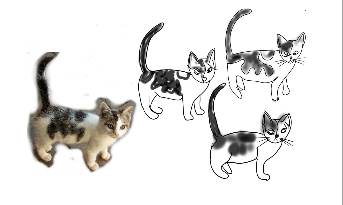A few more cats and ‘Three minutes’ drawings! - image 4 - student project