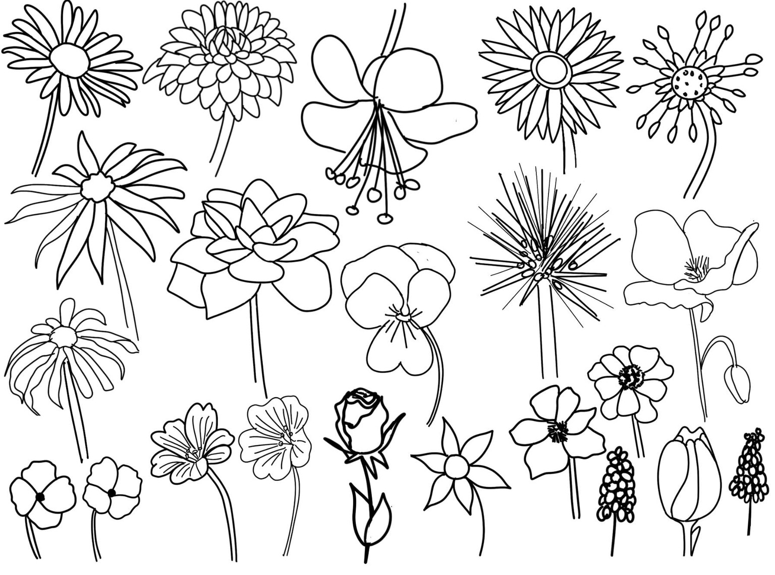 Plants ' - image 8 - student project