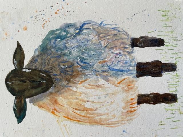 Sheep - image 1 - student project