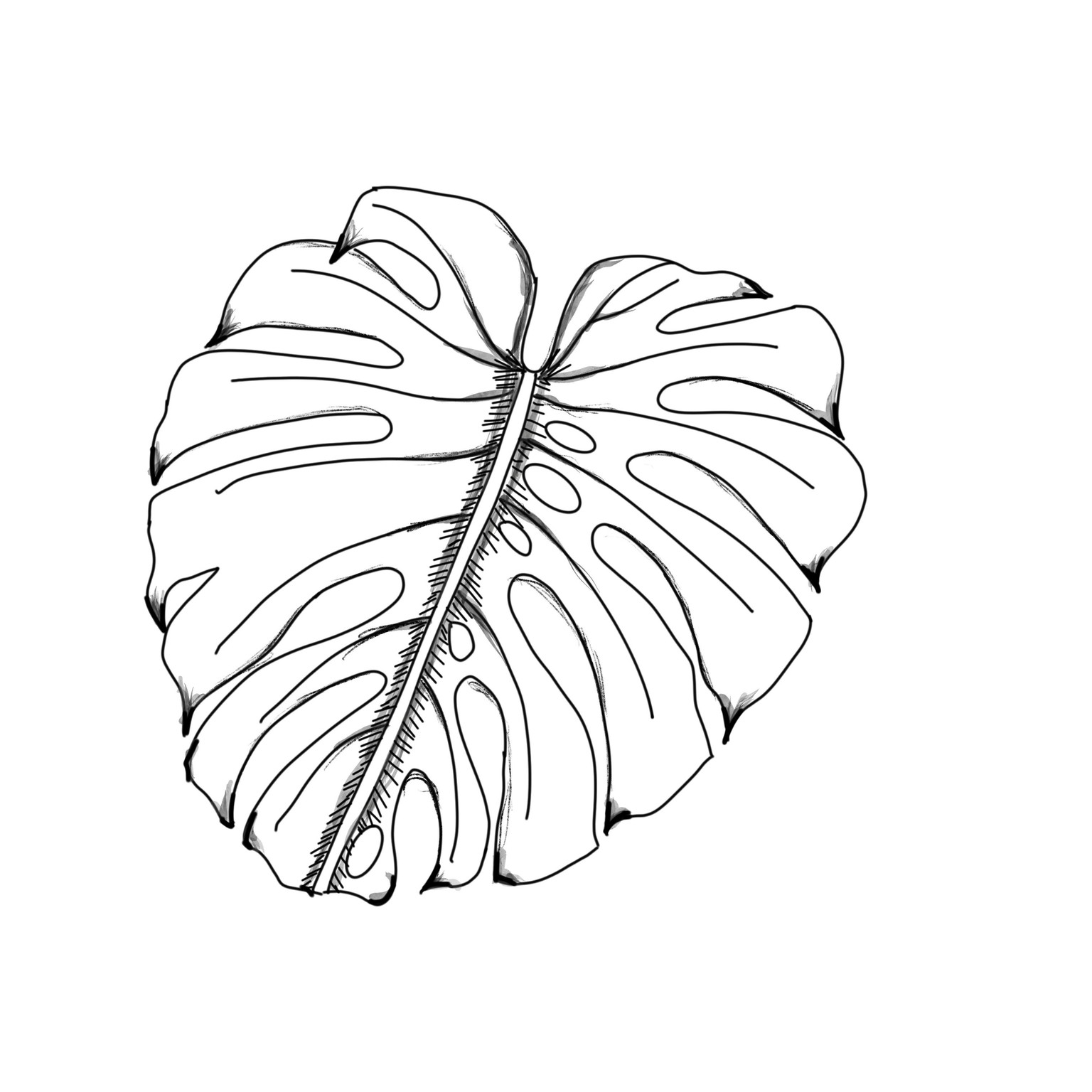 Tropical leaves - image 7 - student project