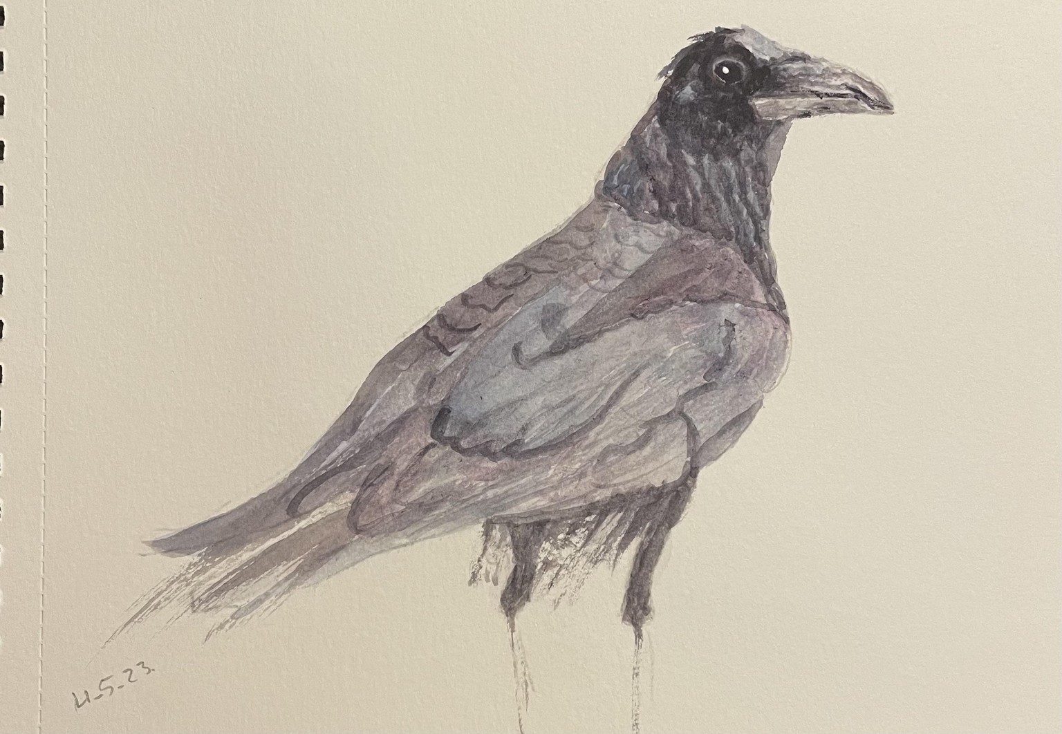 10 minute crows - image 5 - student project