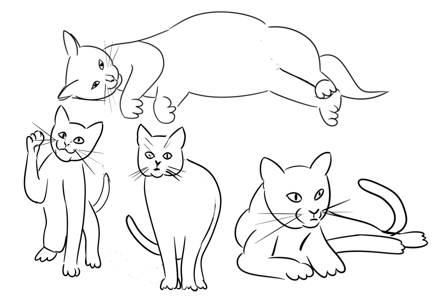 Fun with cats! I I - image 8 - student project