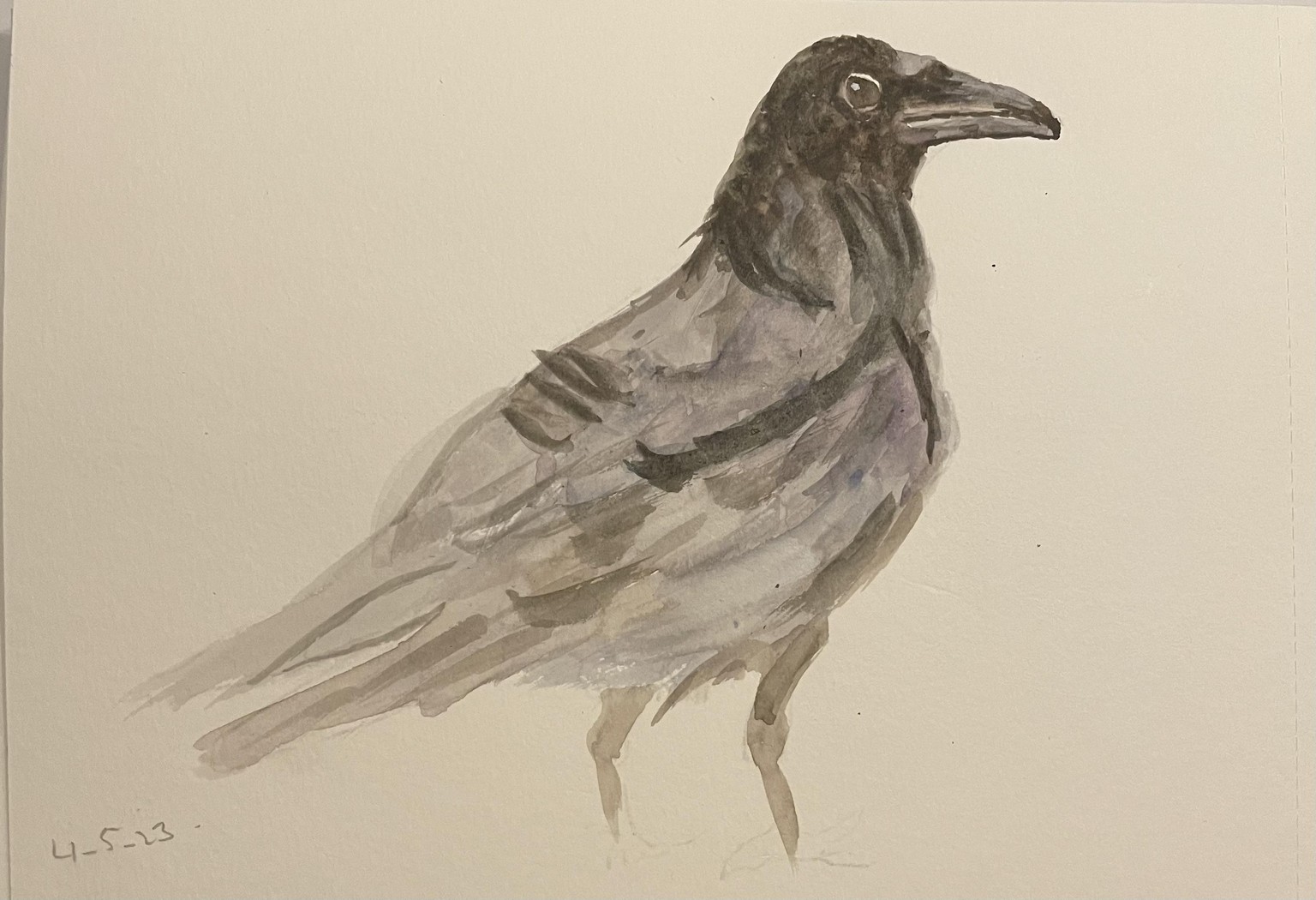 10 minute crows - image 6 - student project