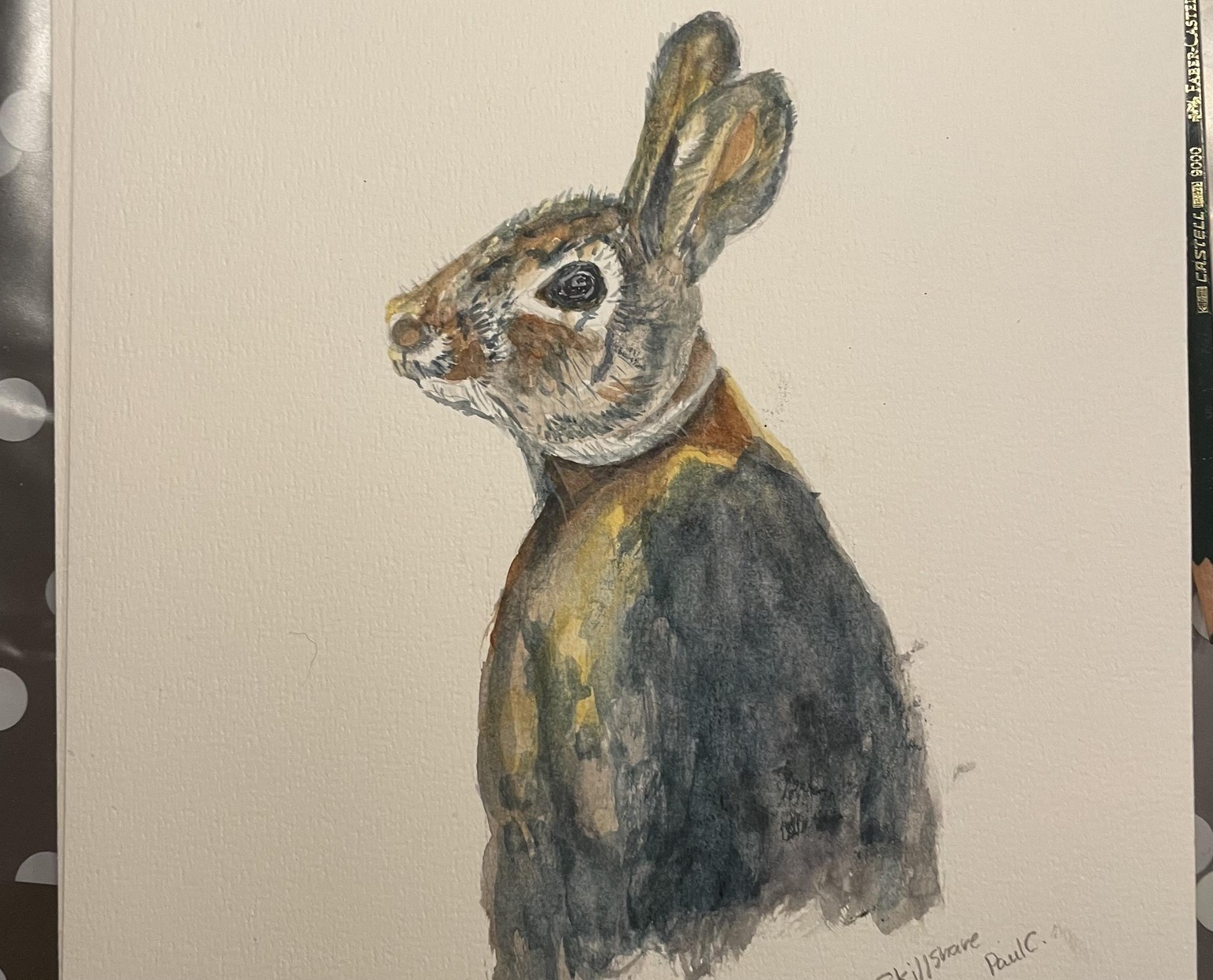 Rabbit - image 2 - student project