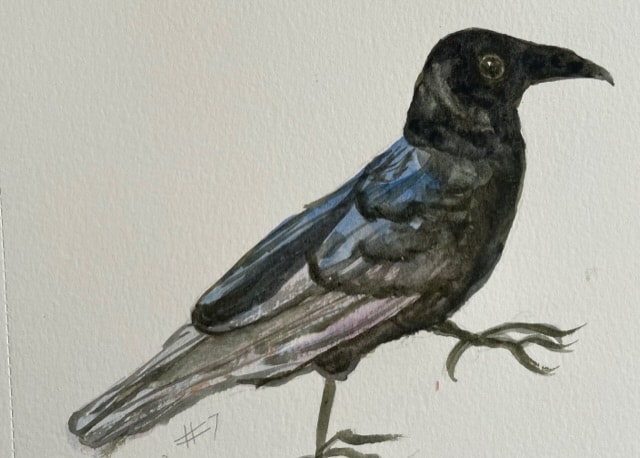 10 minute crows - image 3 - student project