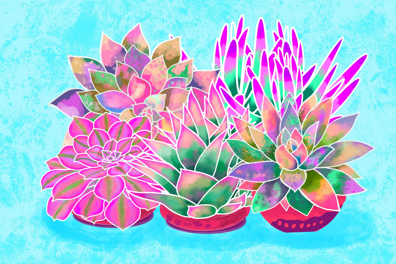 Succulents - image 1 - student project