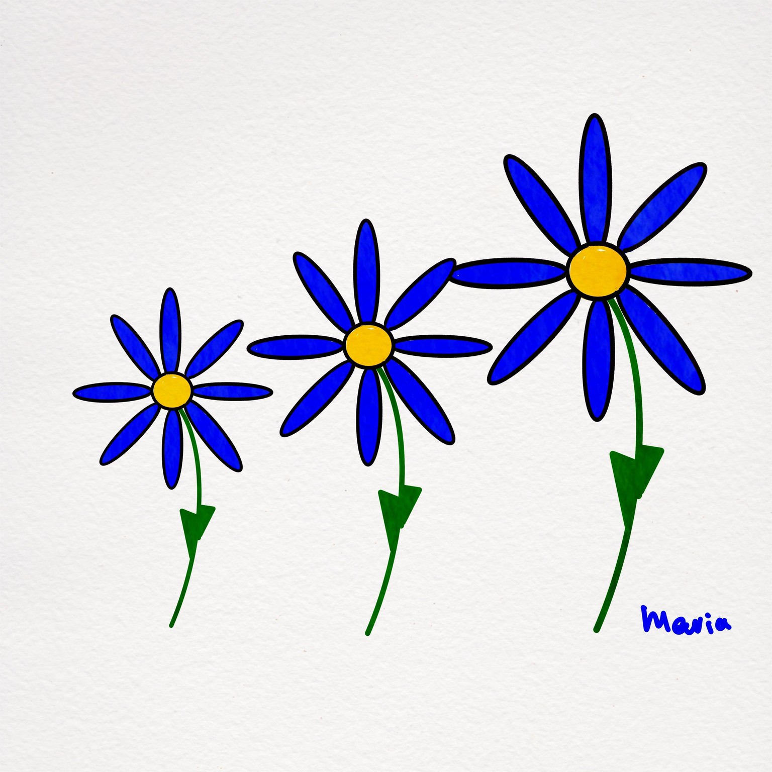 Easy daisy - image 4 - student project