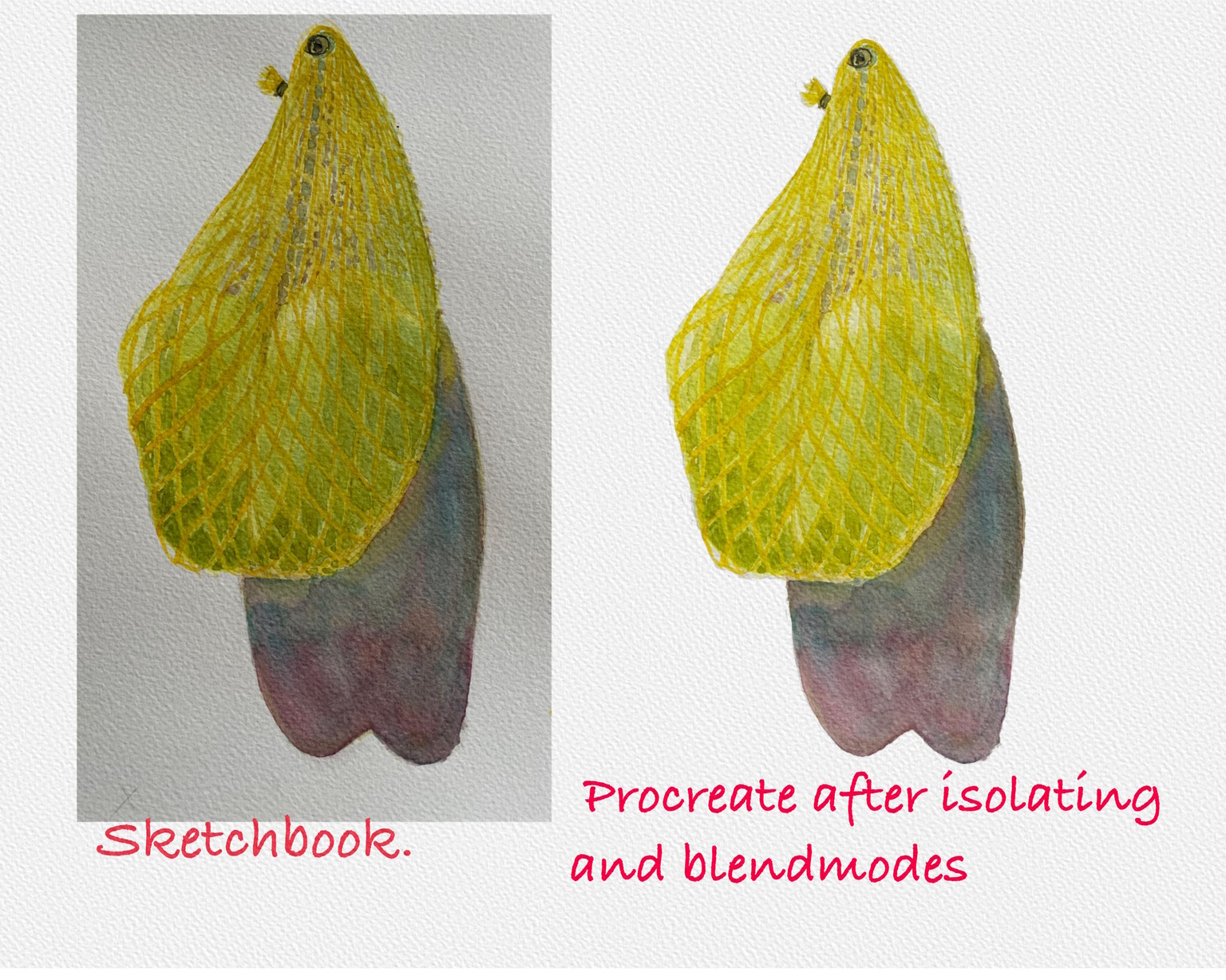Digitalizing watercolor - image 1 - student project