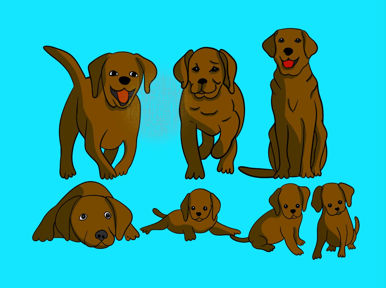 Ollie en pugs and a poodle! - image 2 - student project