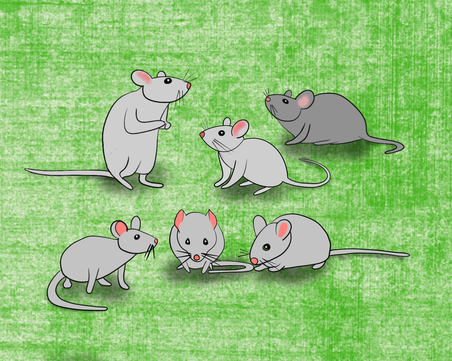 Mice - image 1 - student project