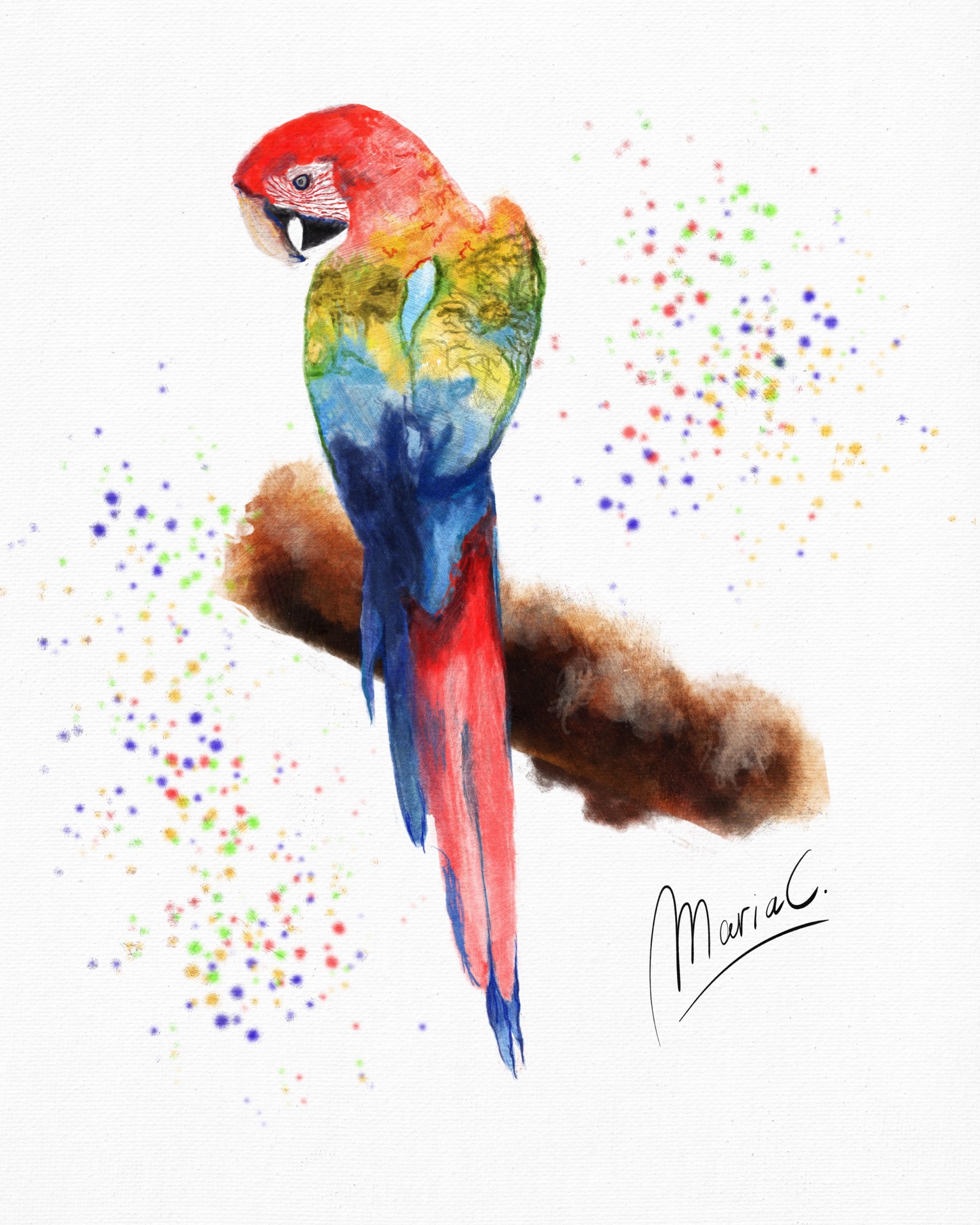 Parrot - image 1 - student project