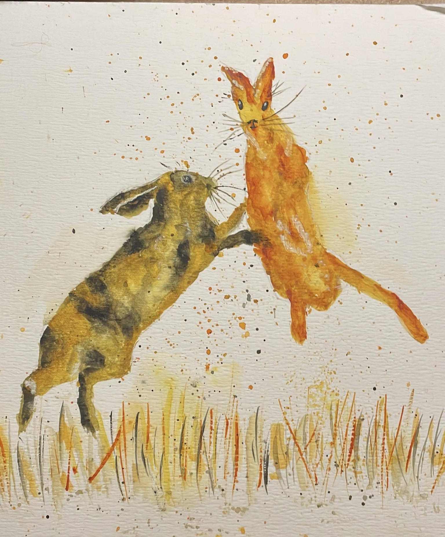 Hares fighting - image 2 - student project