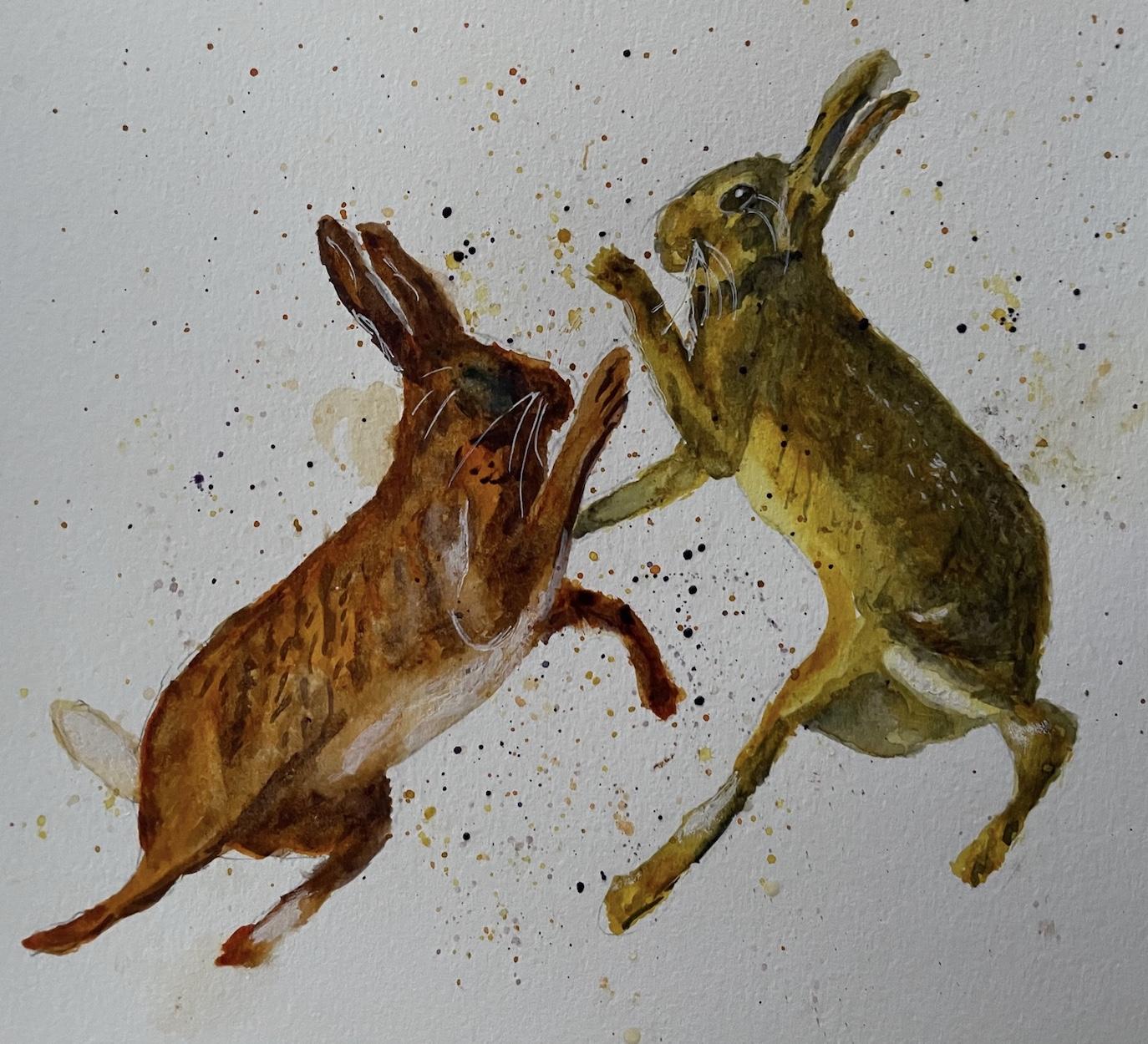 Hares fighting - image 1 - student project