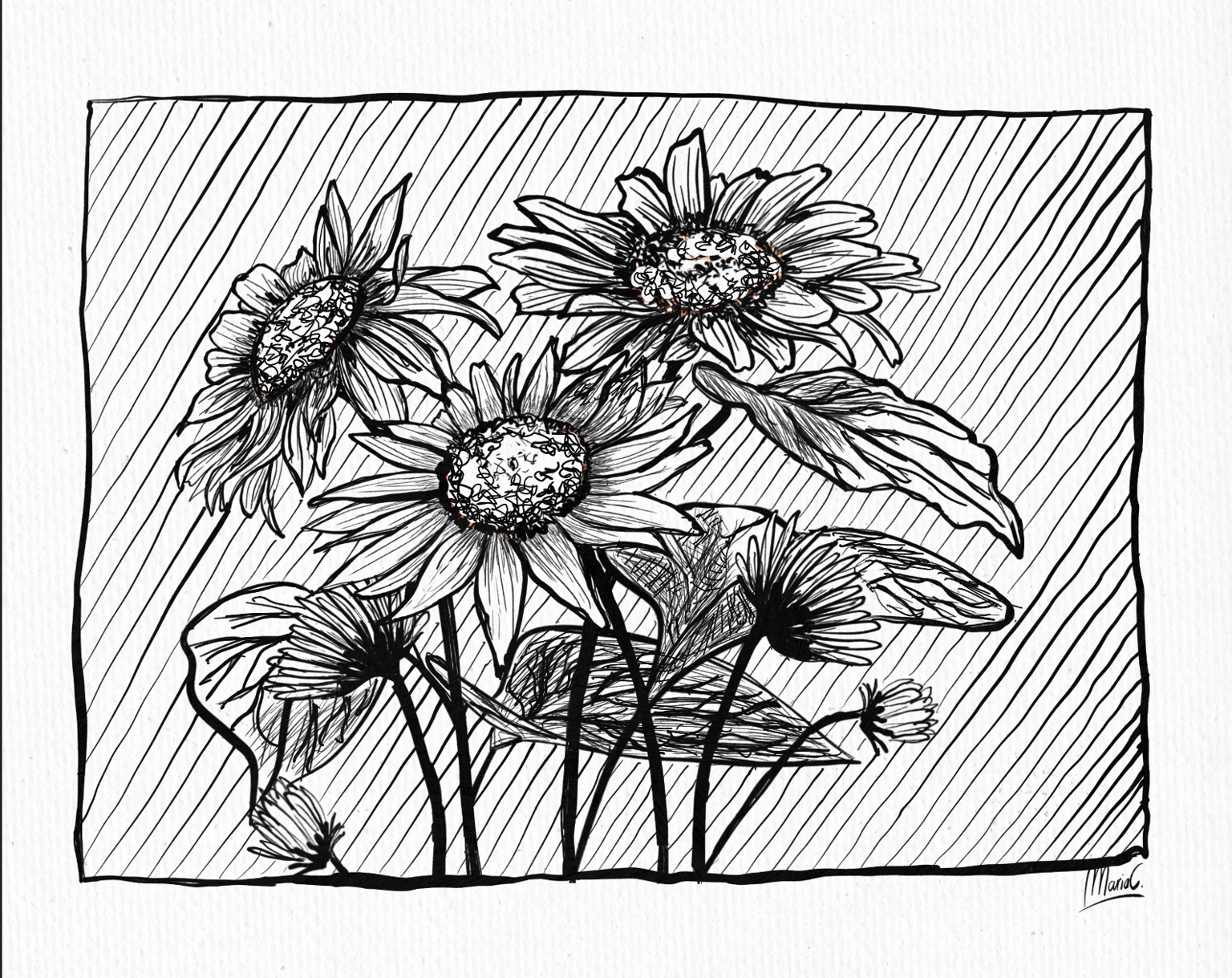 Ink flowers - image 2 - student project