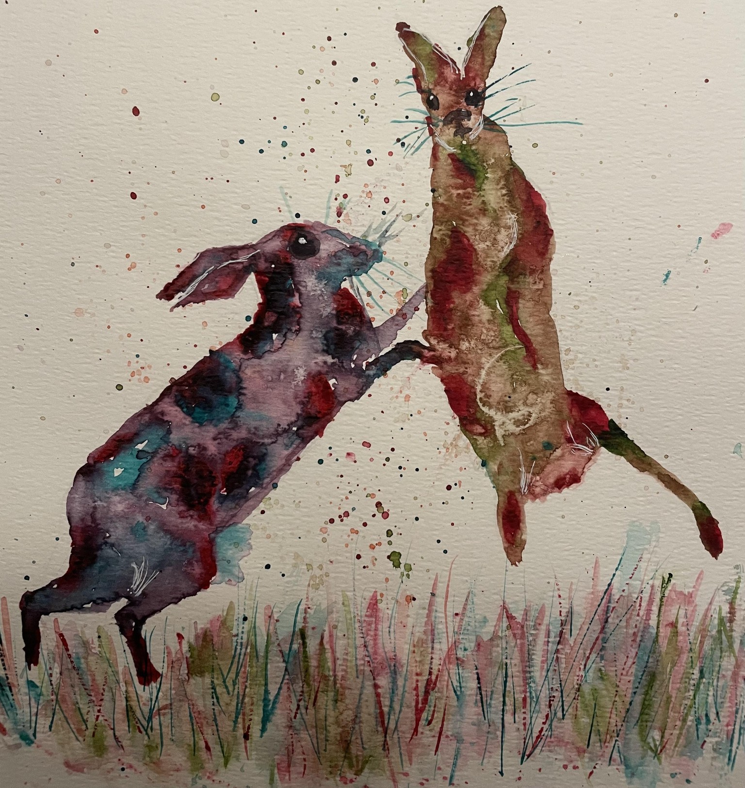 Hares fighting - image 5 - student project