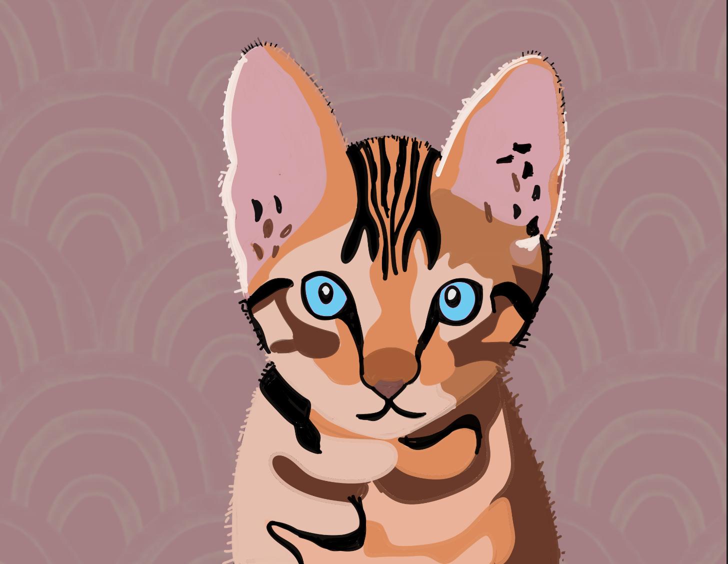 More cats - - image 1 - student project