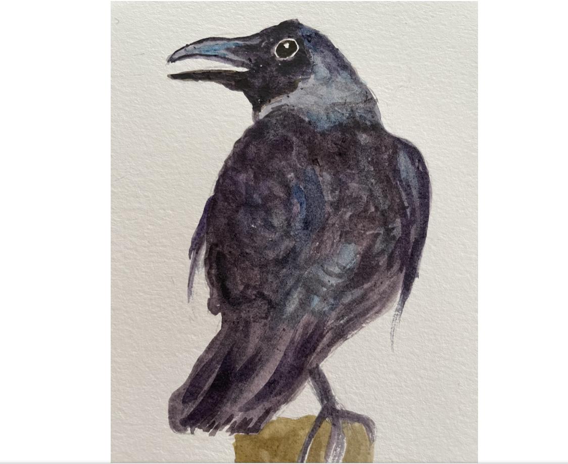 10 minute crows - image 8 - student project