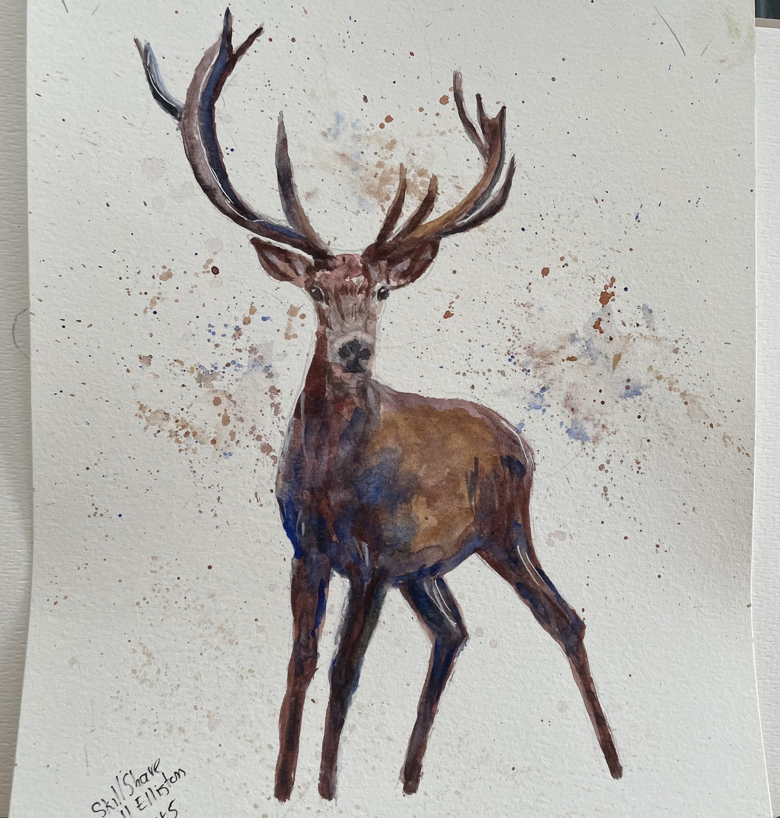 Stags - image 5 - student project
