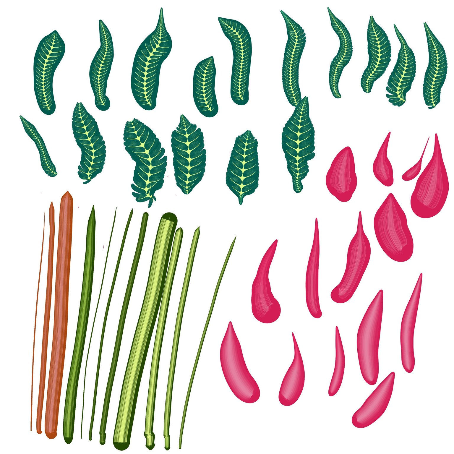 Leaves, petals and stems! - image 2 - student project