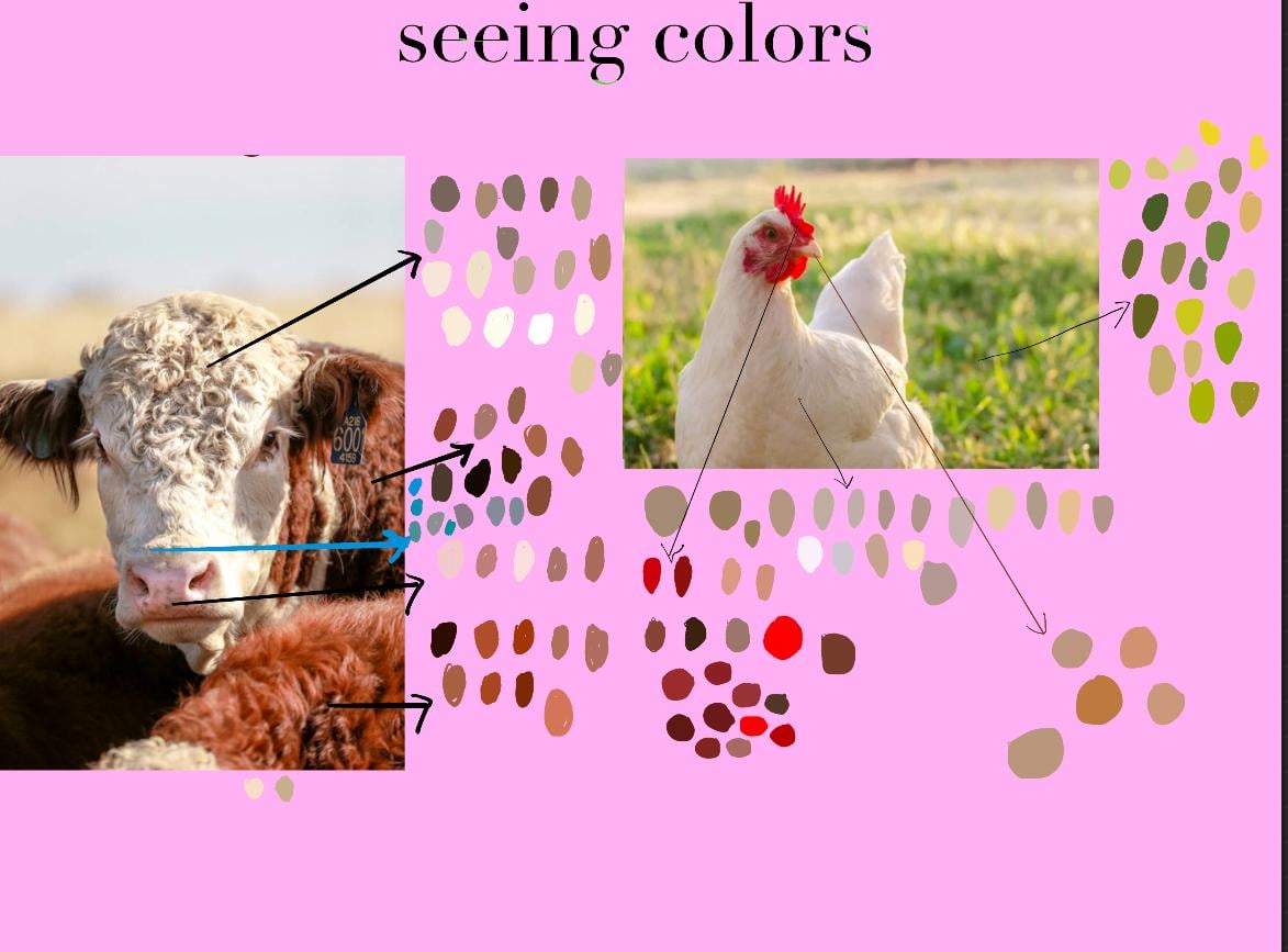 Colorful portraits - image 13 - student project
