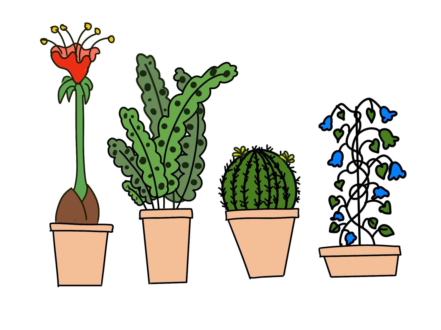 Plants ' - image 2 - student project