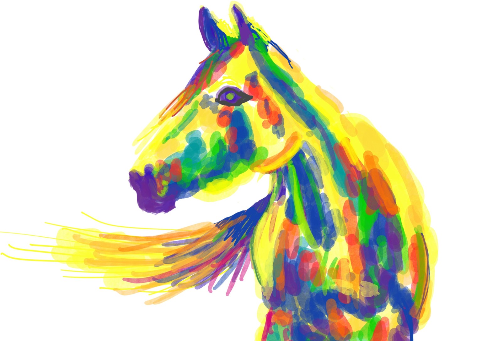 Crazy horses and more! - image 2 - student project