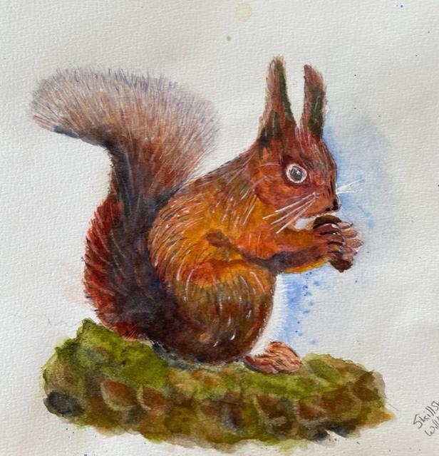 Squirrels - image 2 - student project