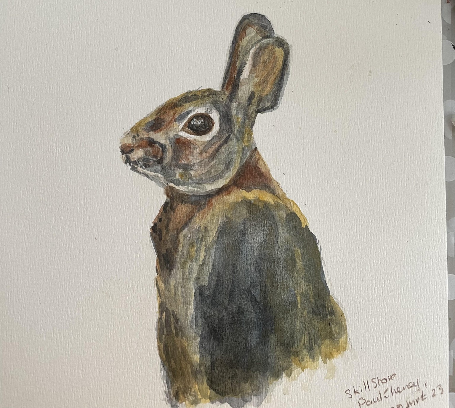 Rabbit - image 1 - student project