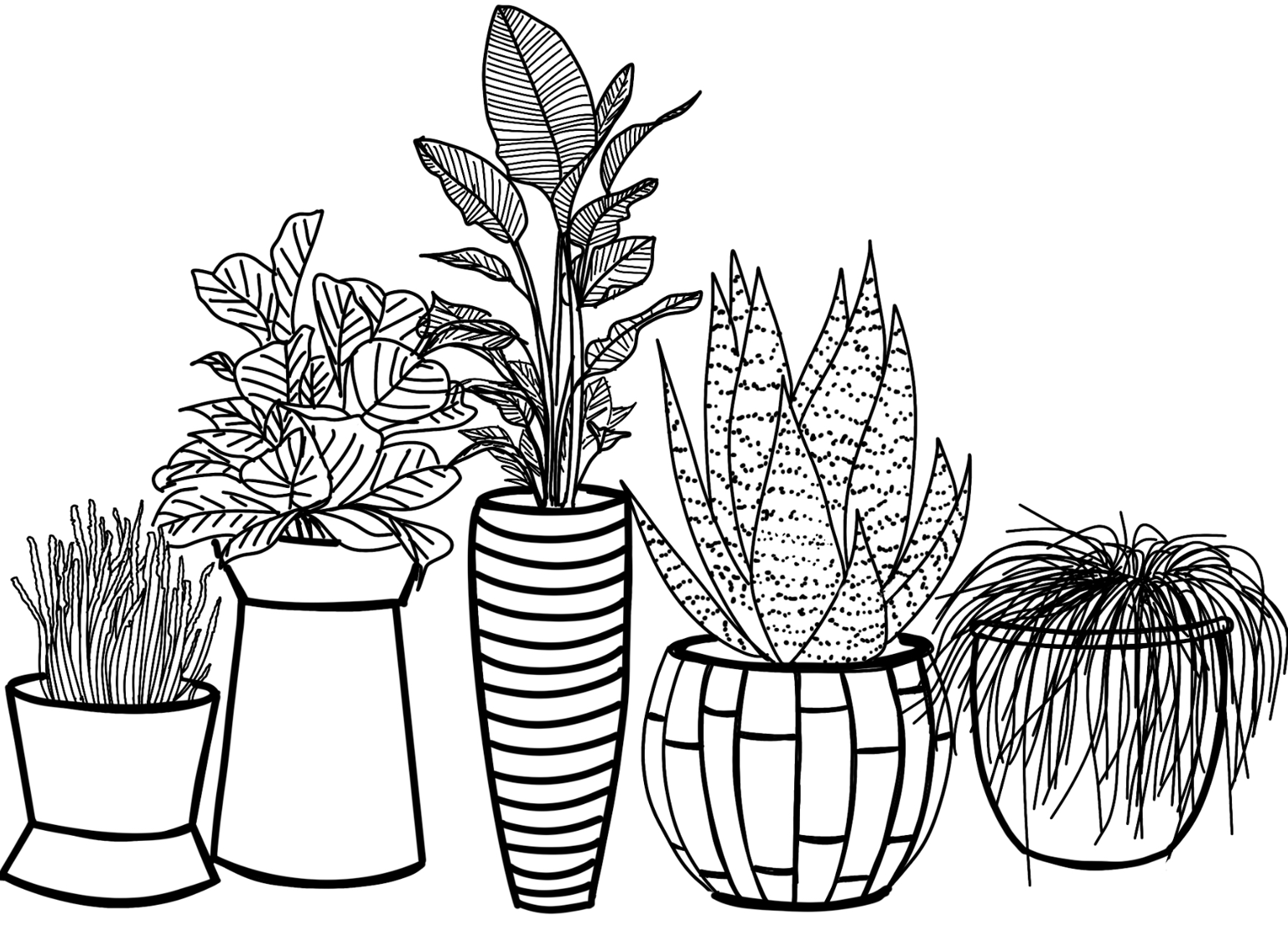Plants ' - image 6 - student project