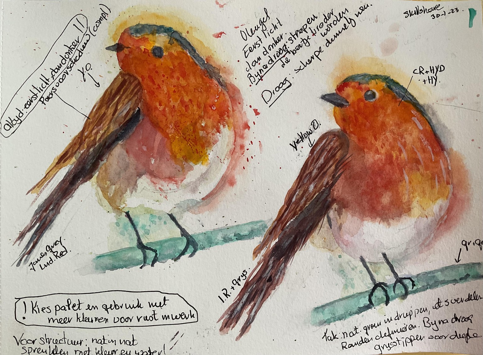 Robin - image 1 - student project