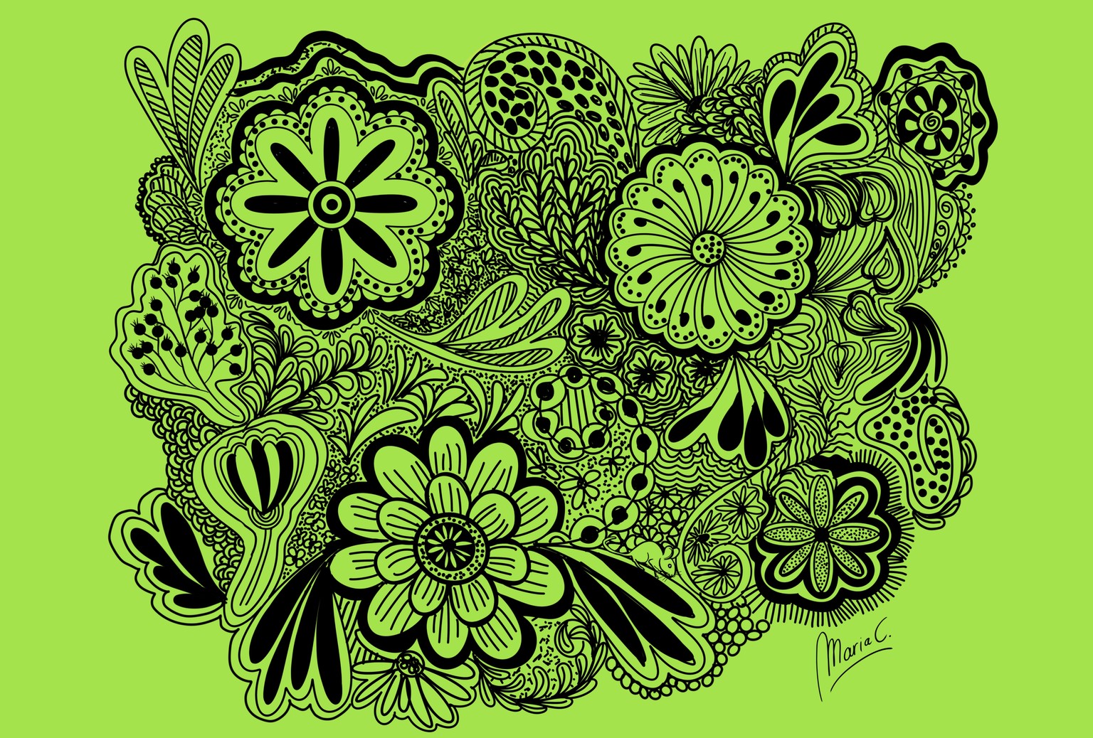 Doodle - image 1 - student project