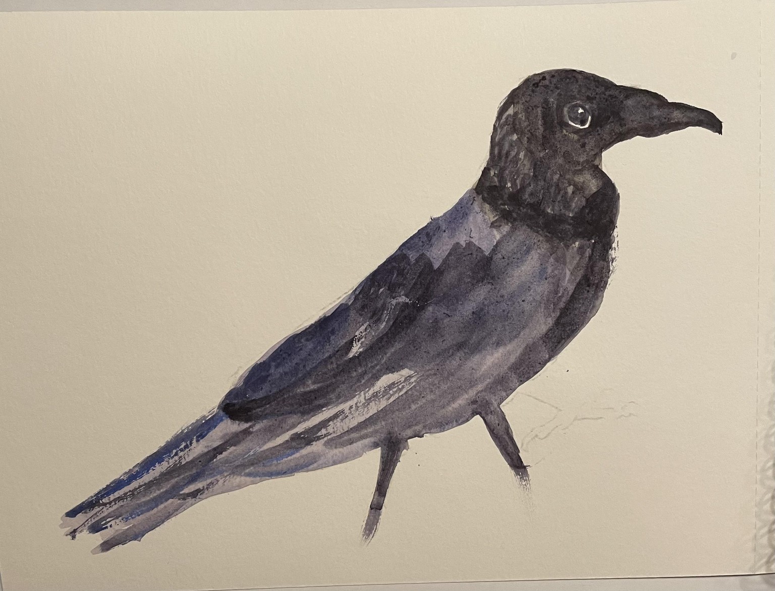 10 minute crows - image 4 - student project