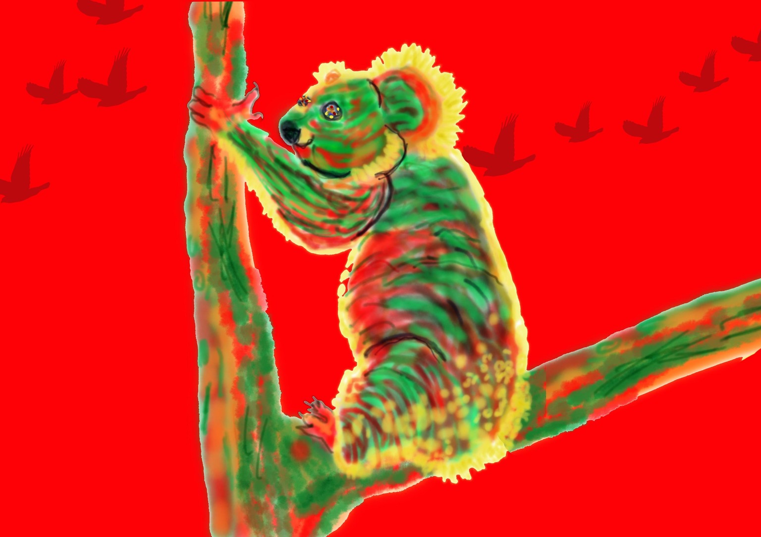 Crazy koala! - image 1 - student project