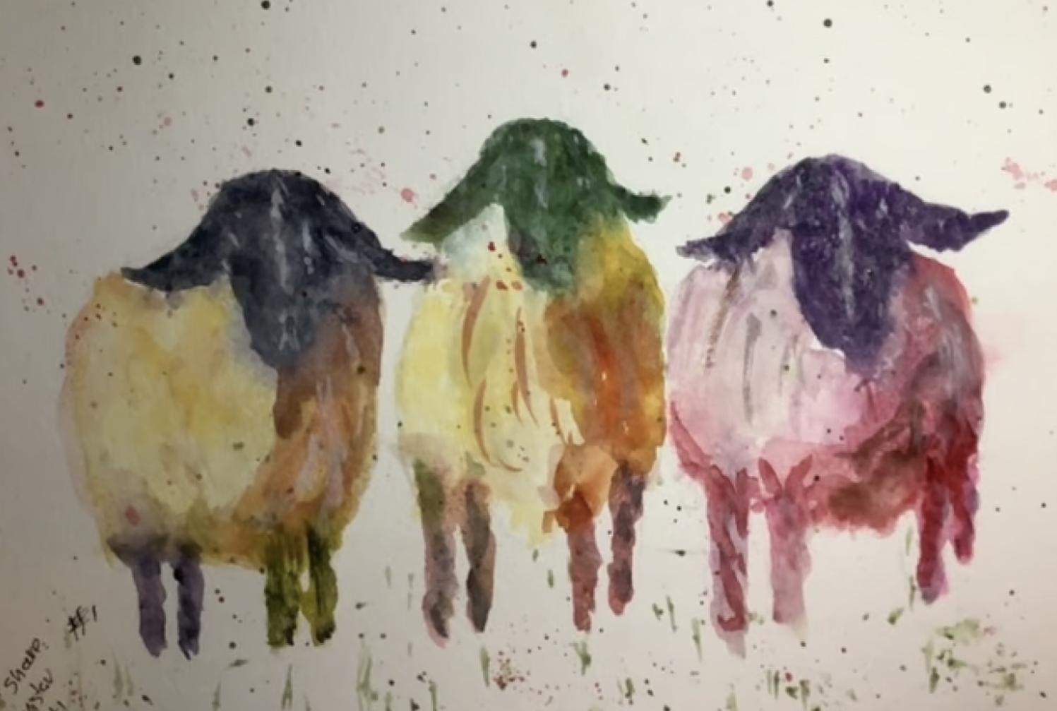 Sheep - image 3 - student project