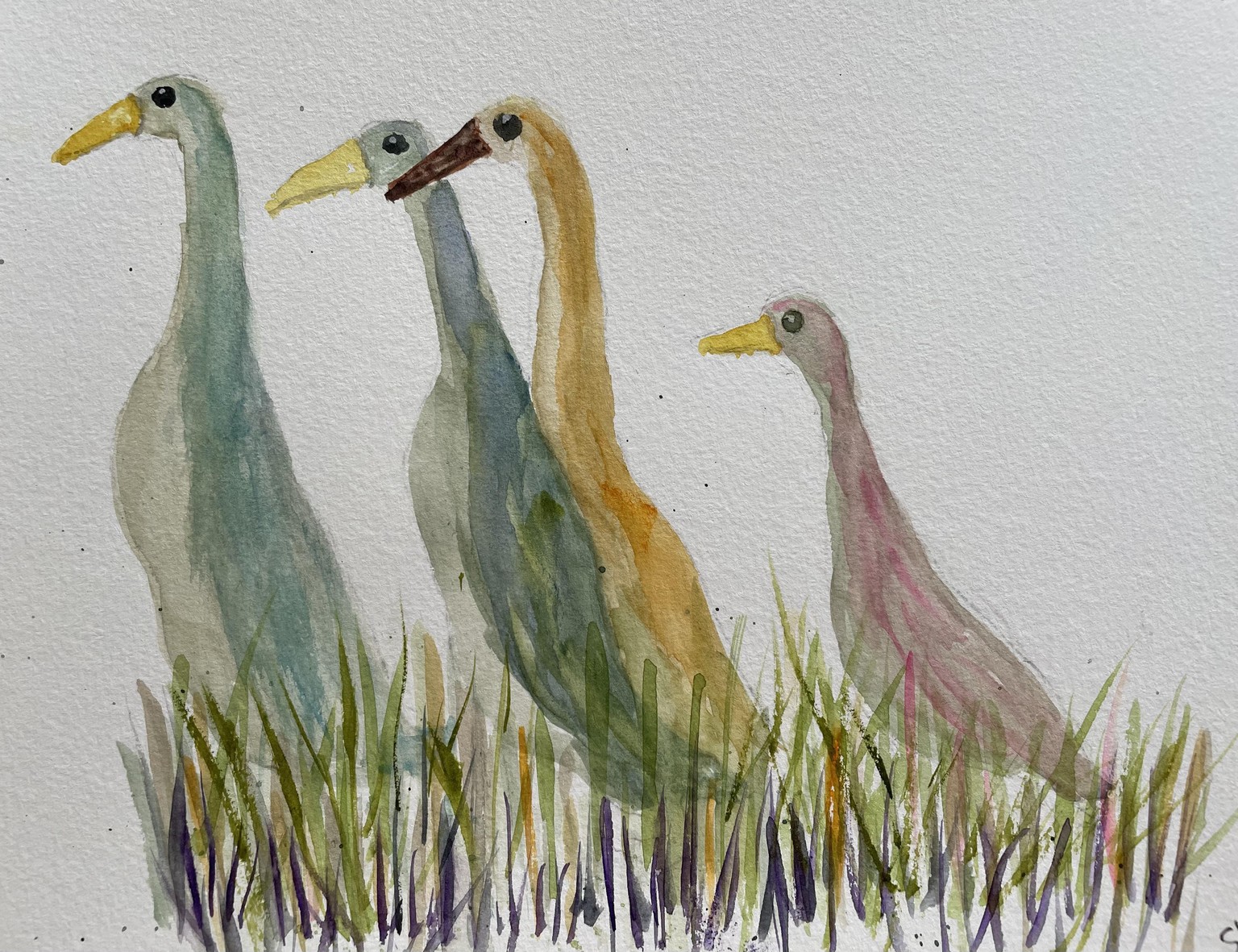 Runner ducks - image 6 - student project