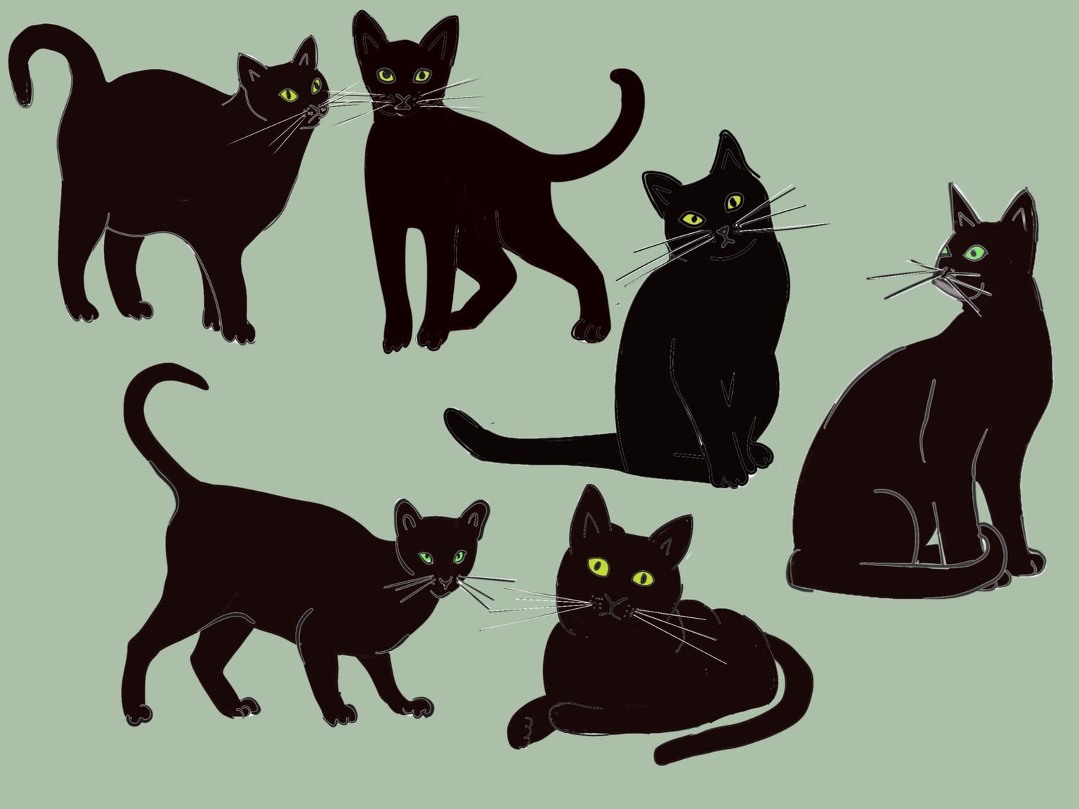 Cats ' - image 4 - student project