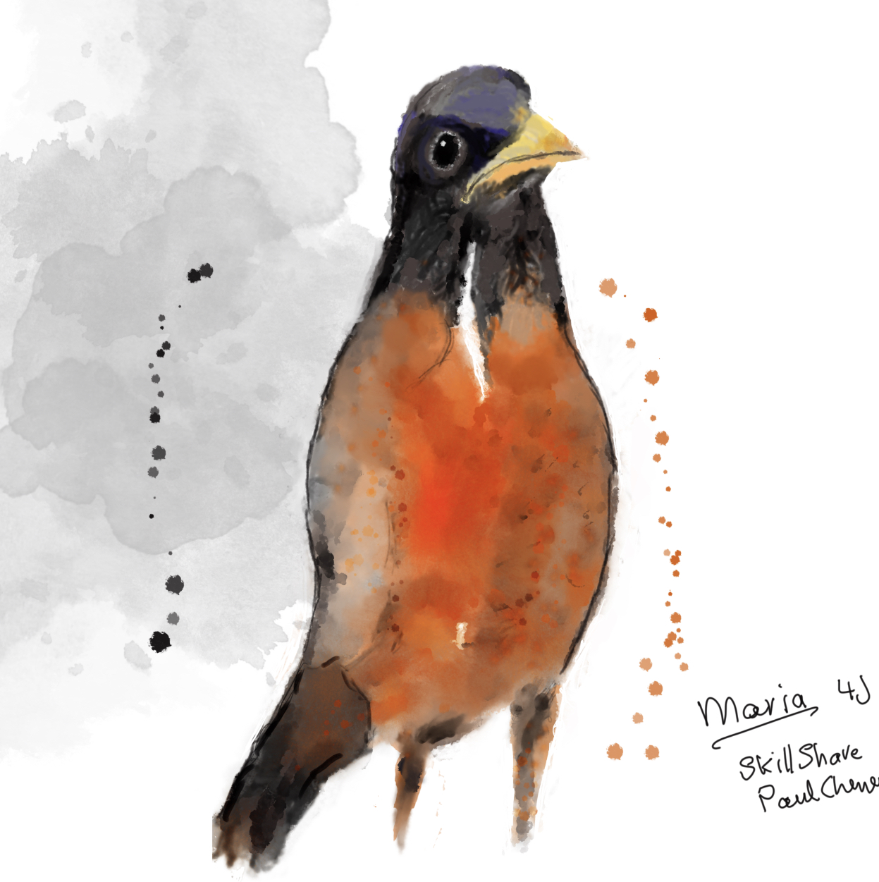 Robin thrush and raven - image 2 - student project