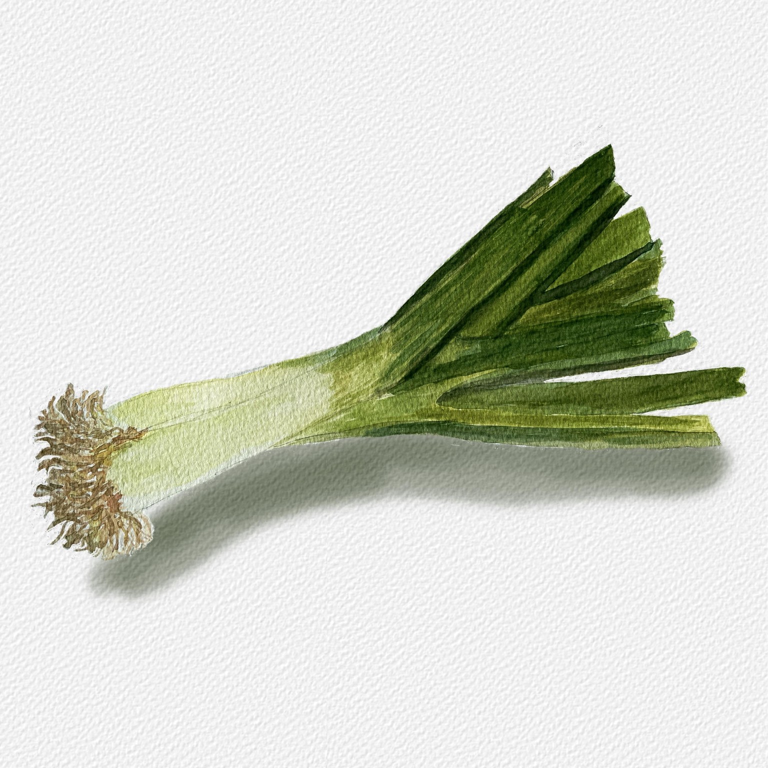 Veggies - image 3 - student project