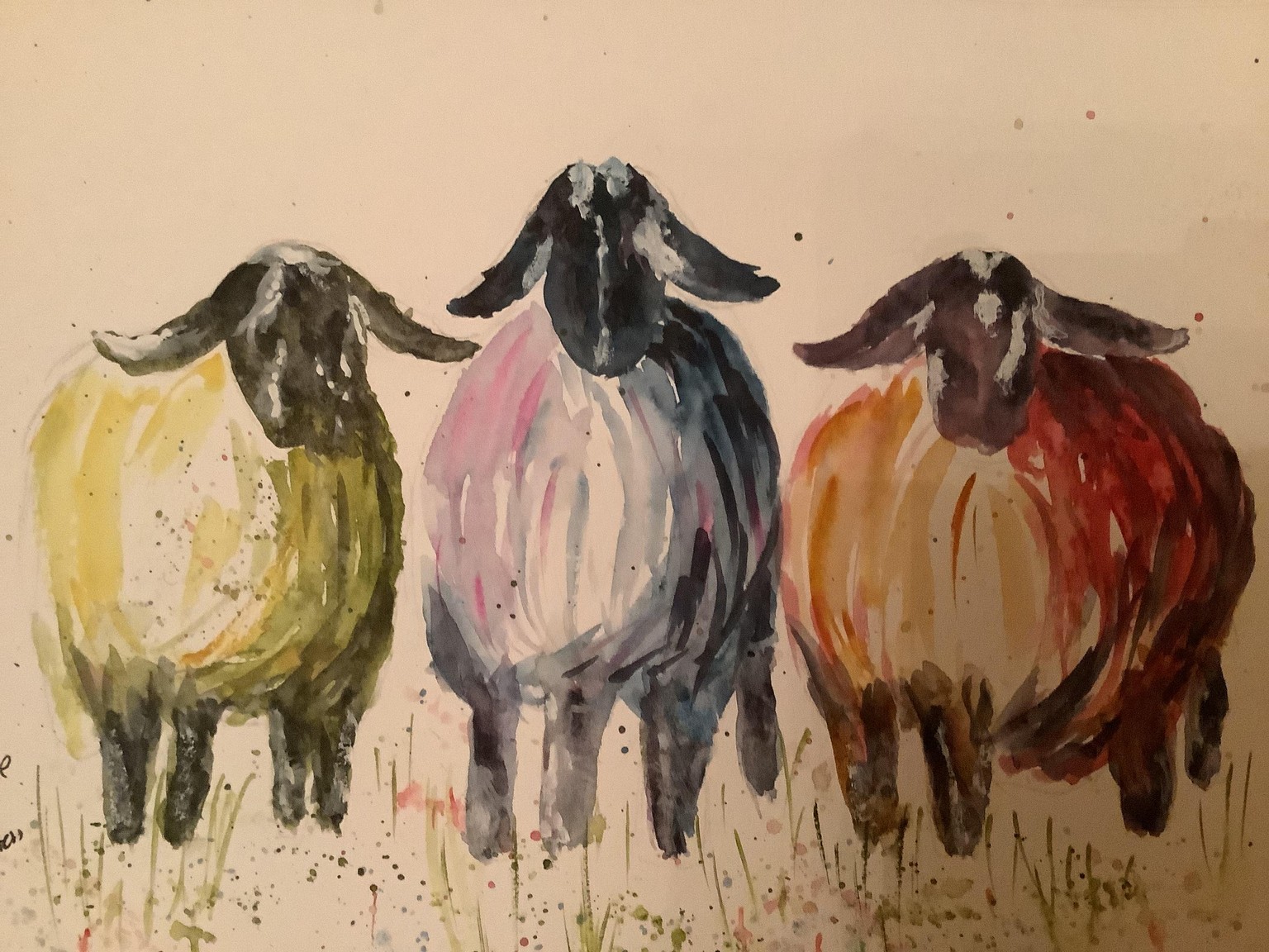 Sheep - image 4 - student project