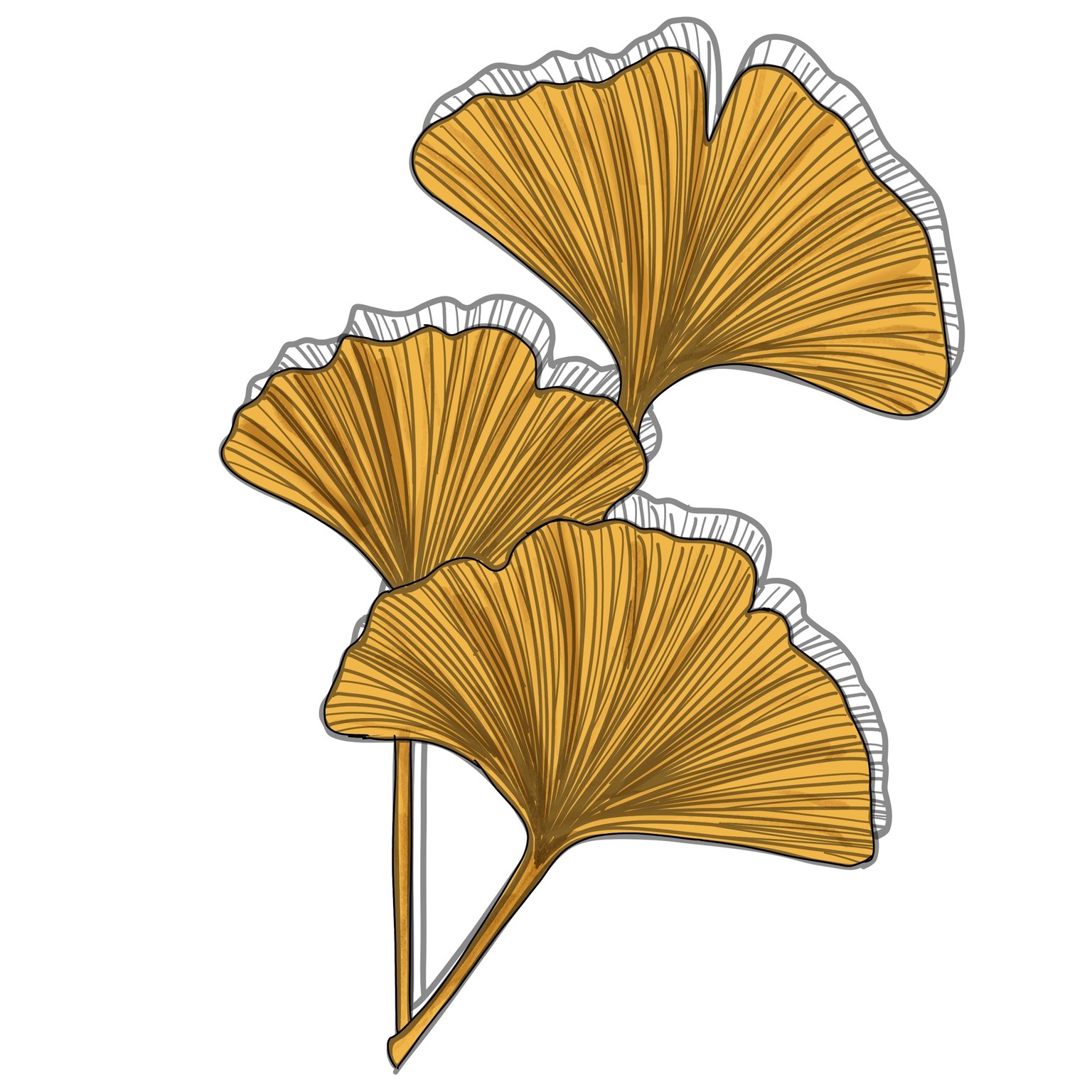 Tropical leaves - image 3 - student project