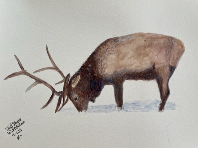 Stags - image 3 - student project